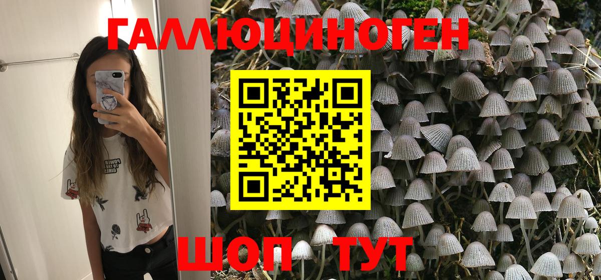 хочу наркоту  Галлюциногенные грибы Magic Shrooms  Вход с VPN  Шелехов 