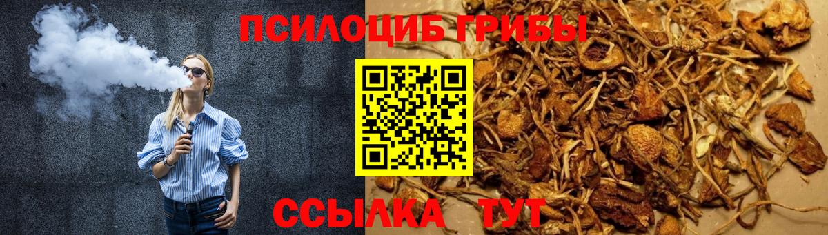 Псилоцибиновые грибы мицелий Шелехов